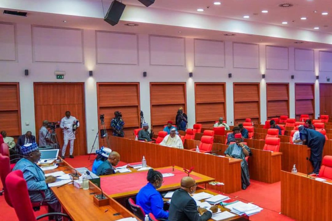 NDDC: Onochie survives screening hurdles, Senate declines confirmation of two others