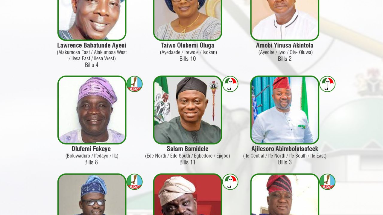 Rep. Oke sponsored 29% of Bills by Osun lawmakers | National Assembly Scorecard