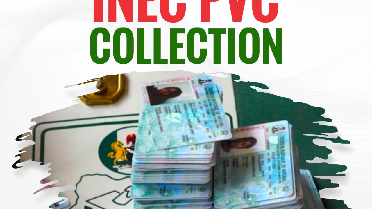 Fact File: Breakdown of Permanent Voters Card (PVC) Data