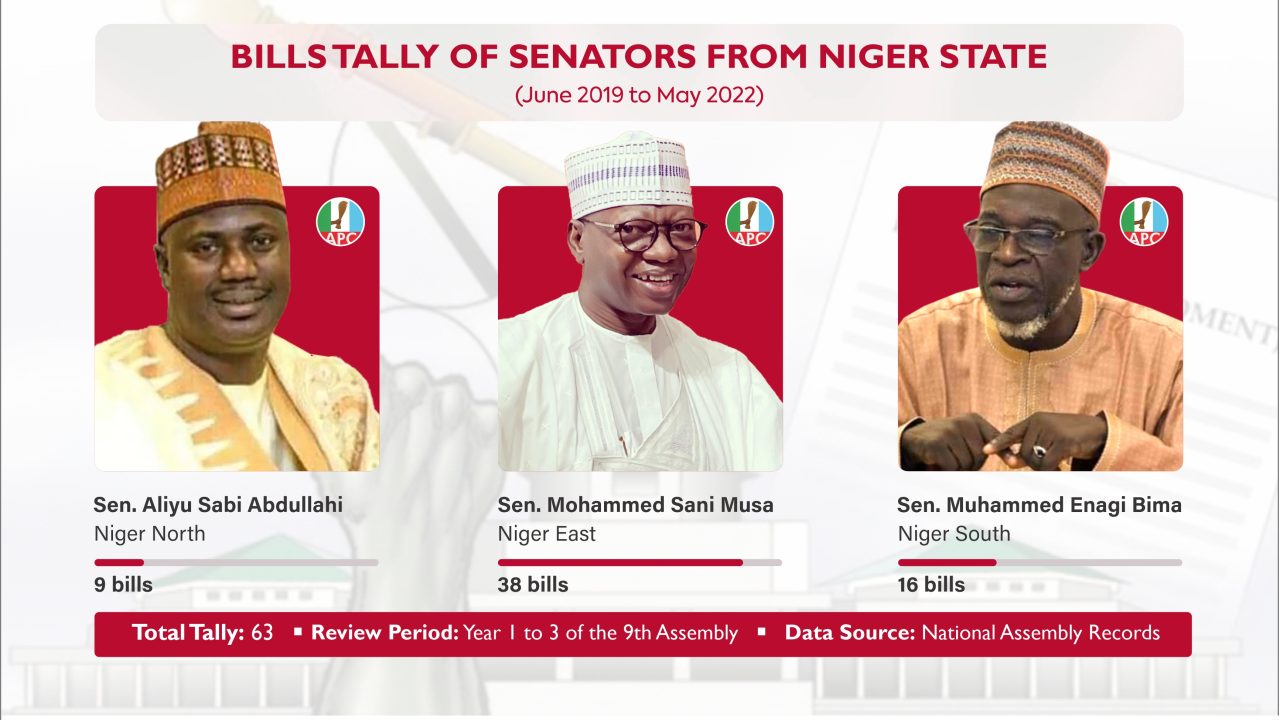 First-term Senator leads Niger lawmakers with 38 bills | National Assembly Scorecard