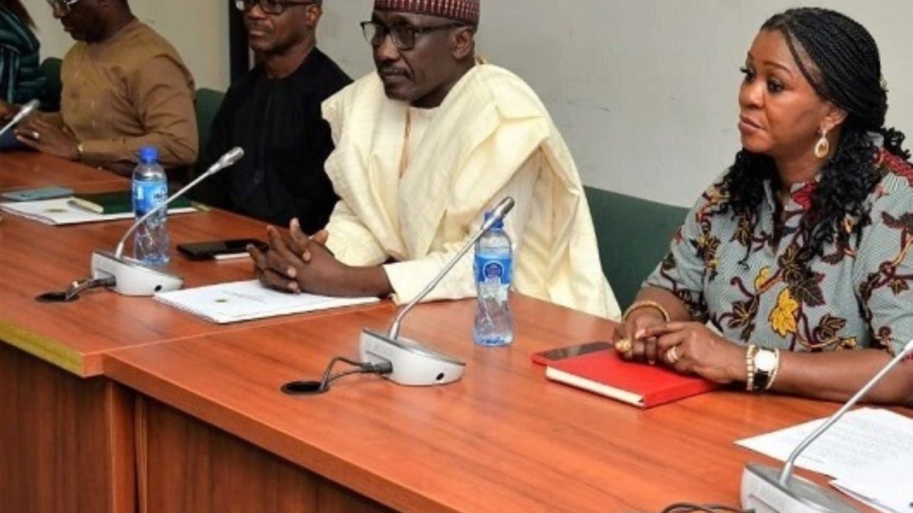 2022 Review: Major probes undertaken by the National Assembly