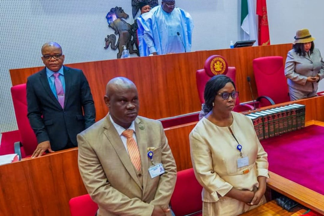 Ways and Means: Senate blames CBN Governor, Finance Minister over delay in approval