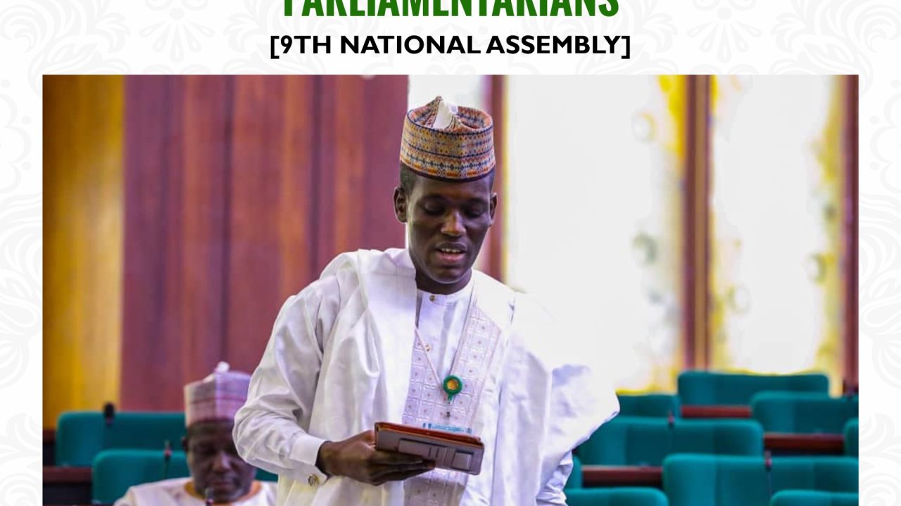 Fact File: Performance Appraisal of ‘Under 40’ Parliamentarians | National Assembly Scorecard