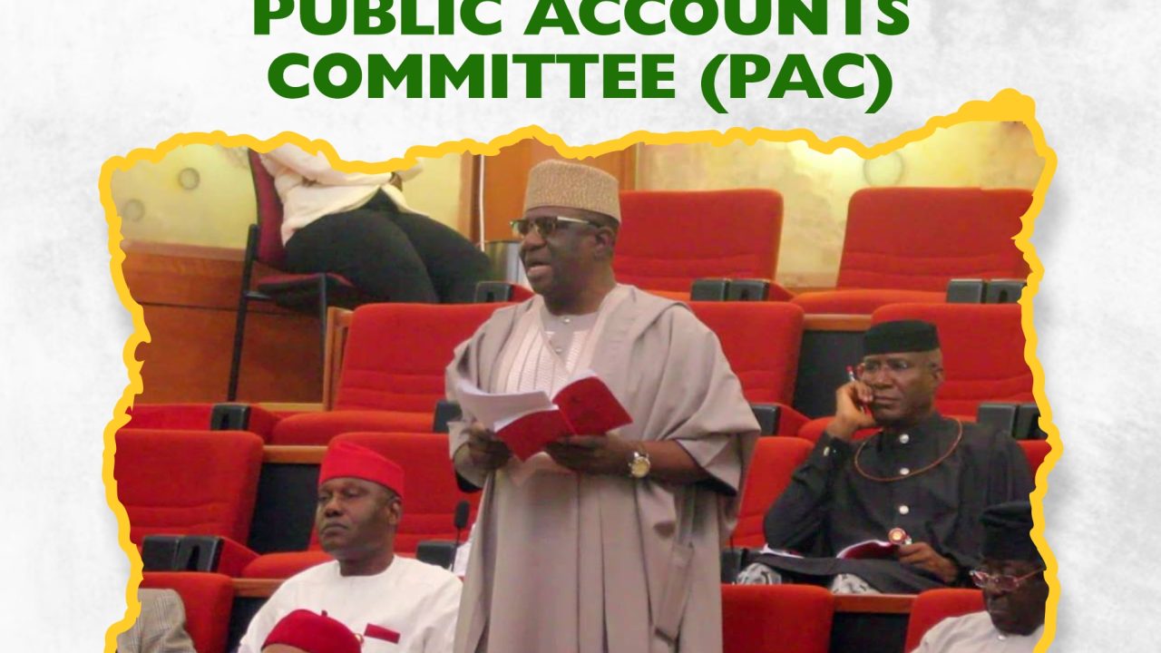 Parliament Meme: Role of the Senate Public Accounts Committee (PAC)