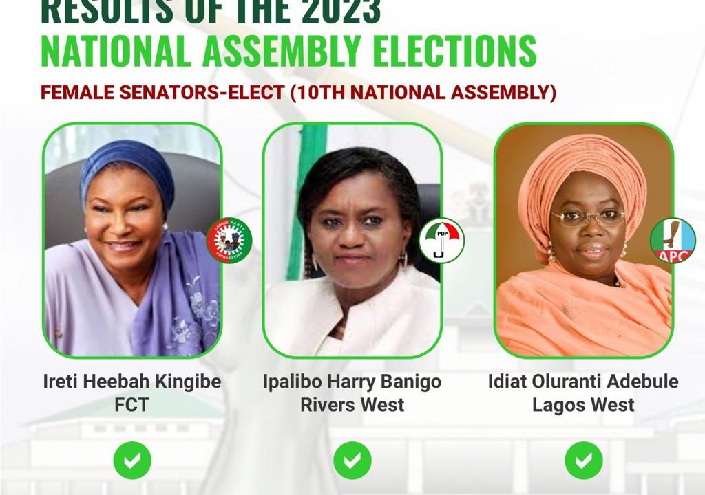 IWD: Meet the three female Senators-Elect in the 10th National Assembly