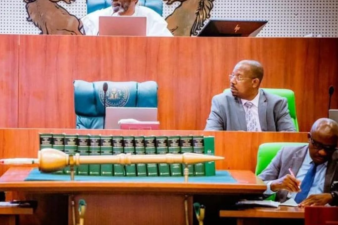 2023 Budget: Reps approve N21.82trn, allocate fresh N850m for Constitution Review