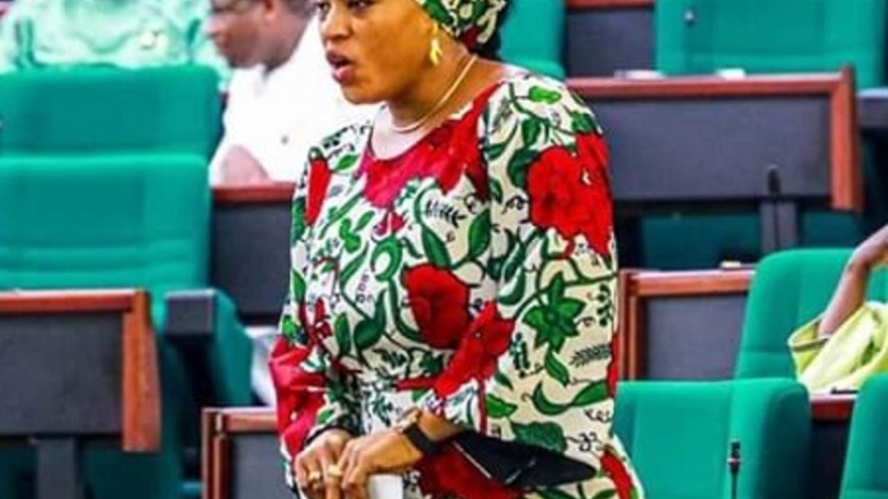 10th National Assembly: First Female Speakership Aspirant declares