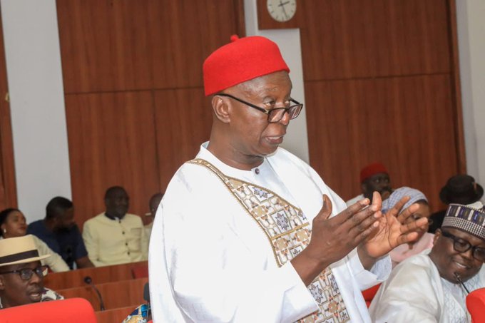 Diaspora voting, permanent seats…5 things to note about Nwoko’s proposal