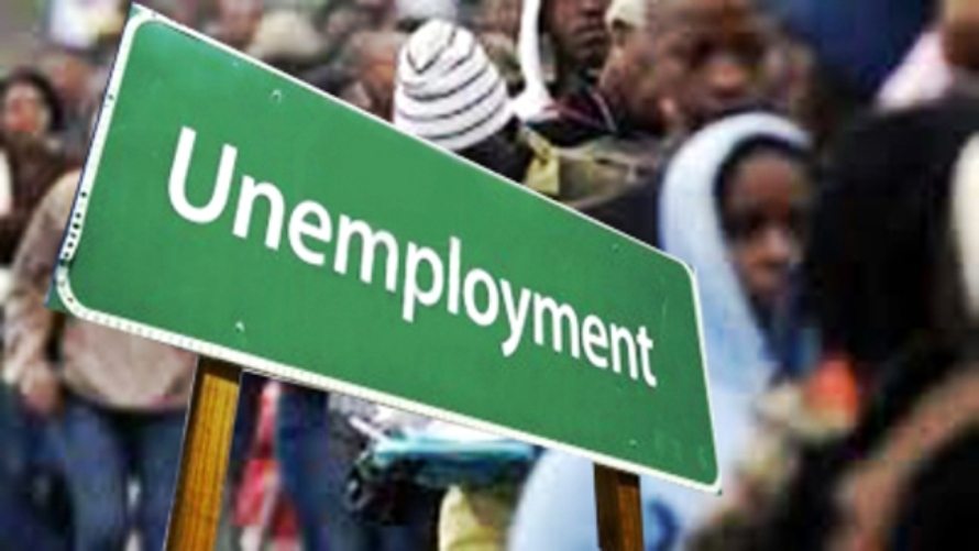 IYD 2023: “Review education curricula to solve unemployment challenge” – OPEN Space