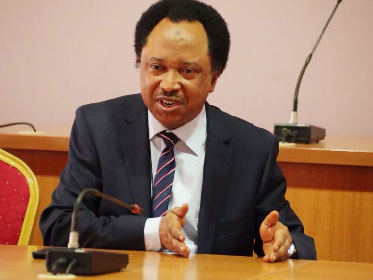 IDD 2023: Shehu Sani explains ‘tweet’ on wave of coups in Africa