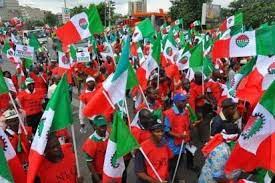 Labour Strike: Benue lawmaker urges NLC, Nigerians to support Tinubu 