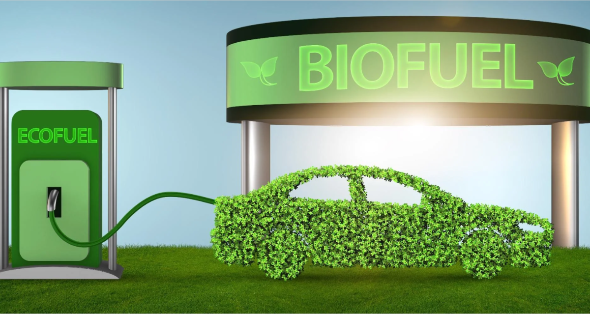 Energy transition: Biofuel as viable alternative to fossil fuel