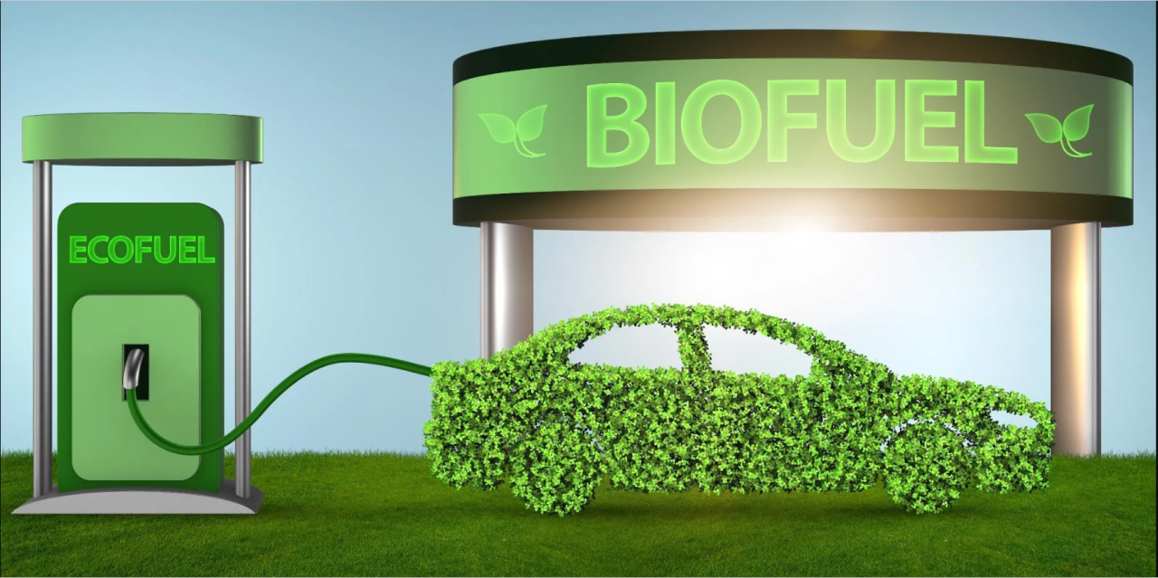 Energy transition: Biofuel as viable alternative to fossil fuel