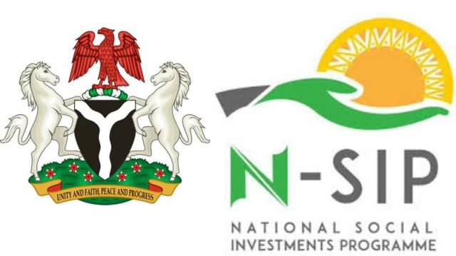 2025 budget and NSIP