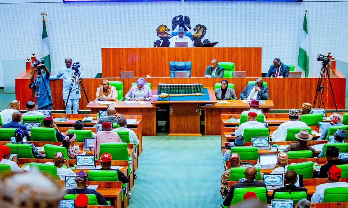 NASS renovation: Reps hold plenary session in heat