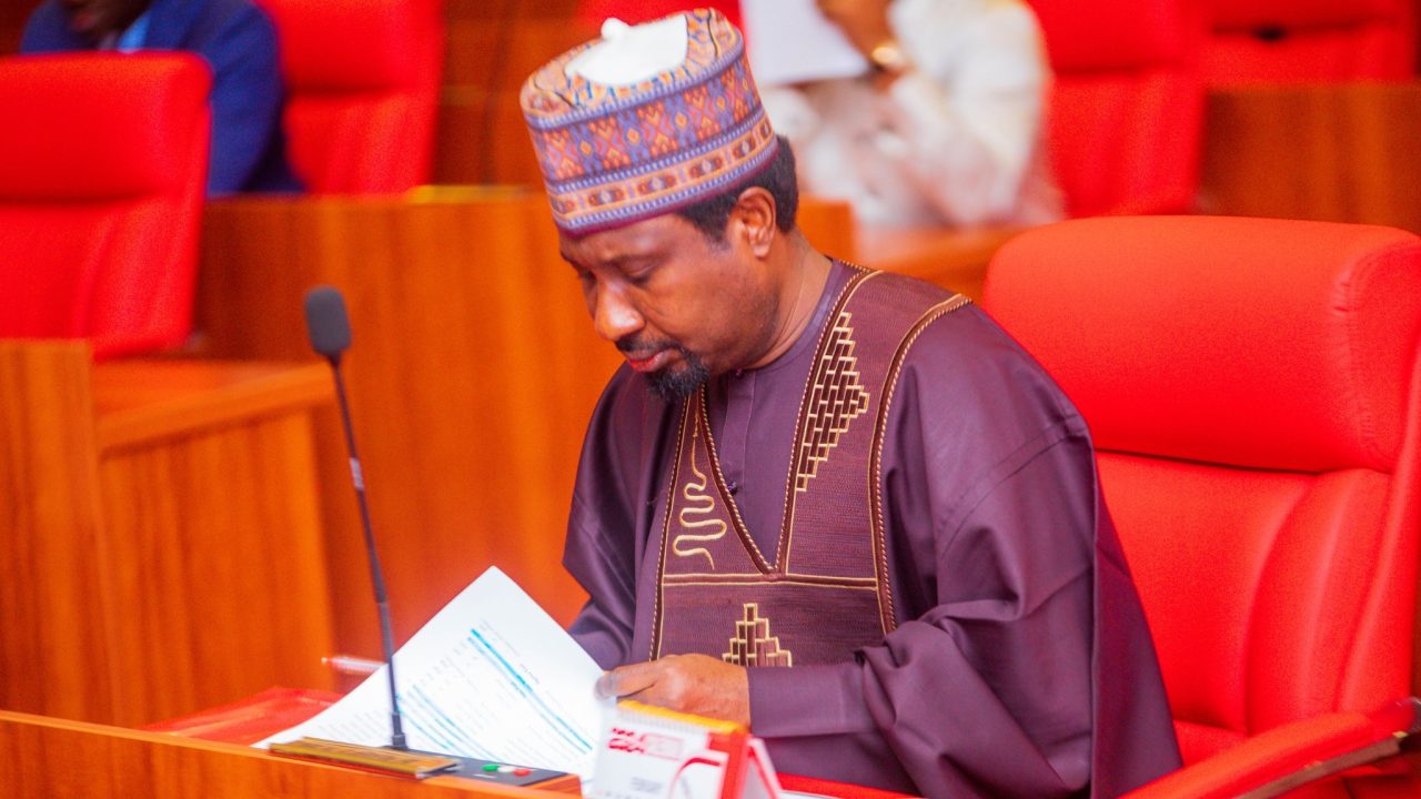 Live peacefully with your hosts – Deputy Senate President tells Northerners in Southern Nigeria
