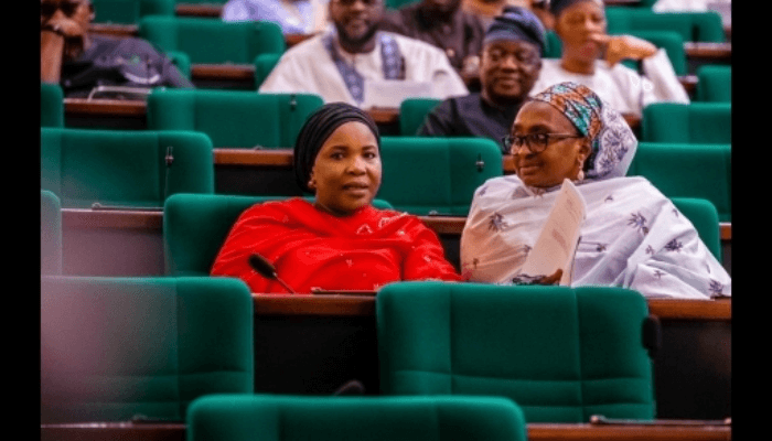 10TH NASS REPORT CARD: 30 gender bills sponsored in Reps