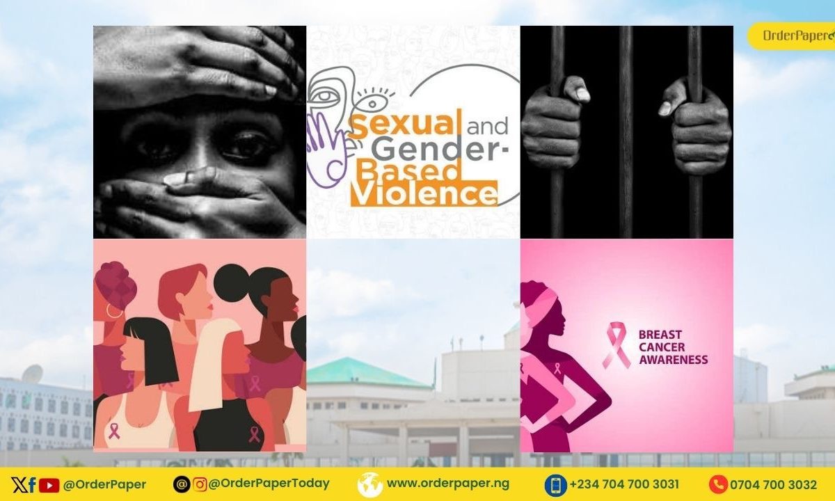 GESI Tracker: SGBV, Cancer and Correctional Services Get Attention