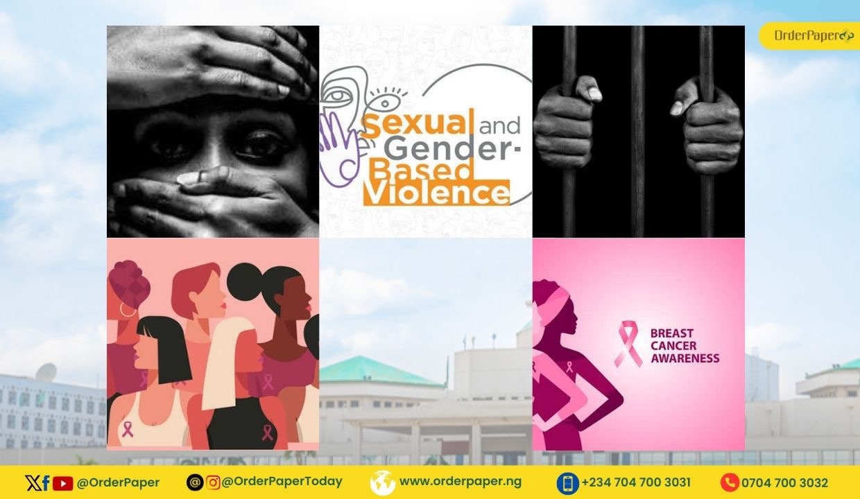 GESI Tracker: SGBV, Cancer and Correctional Services Get Attention