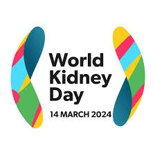 World Kidney Day: Senate calls for extensive campaigns to raise awareness