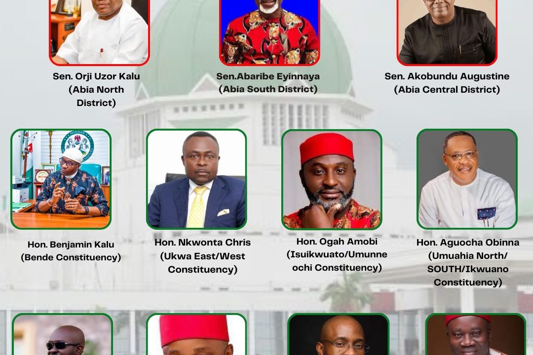Meet members of the 10th National Assembly from Abia State 
