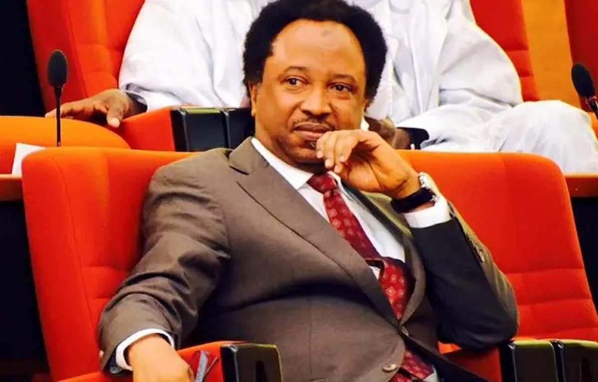 SHEHU SANI: A journey of advocacy and activism from jail to senate