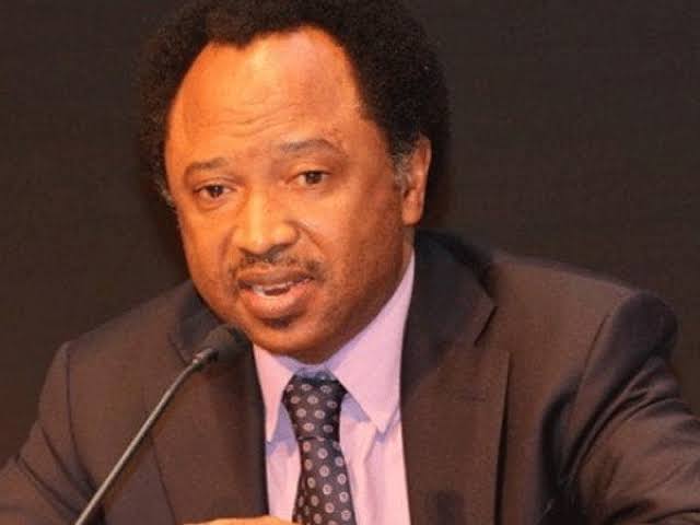 Shehu Sani speaks on abandoned projects in Nigeria 