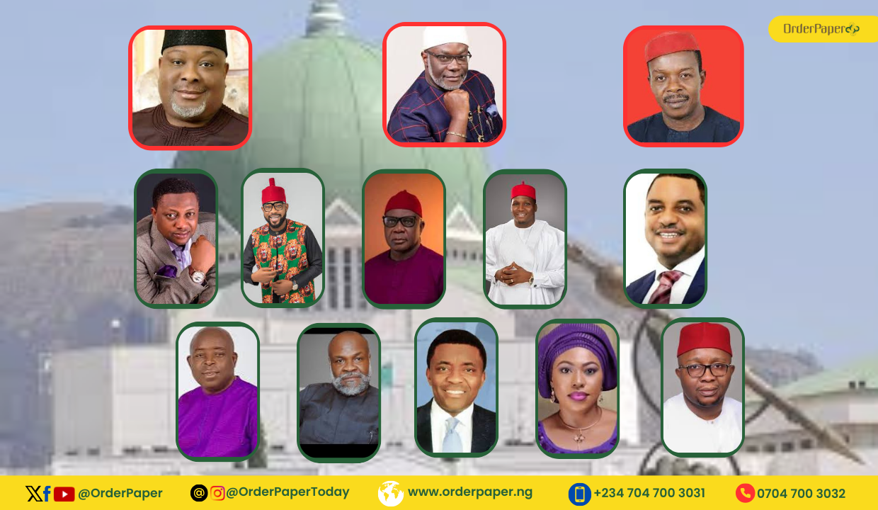 Meet 13 members of the 10th National Assembly from Imo State 