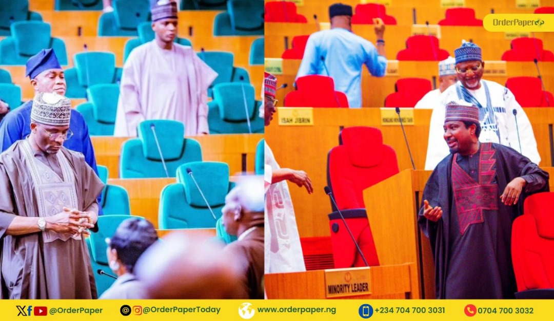 Nigeria’s Senate and House of Representatives | 7 Differences and Similarities  