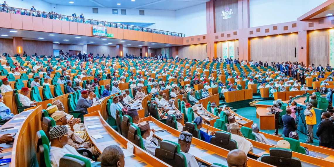 10TH NASS REPORT CARD: Reps witness high number of resurrected bills  