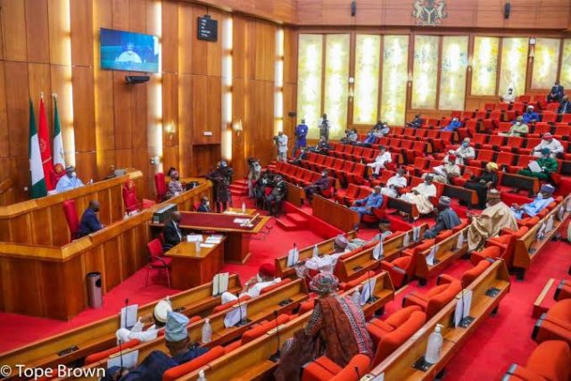 Domestic violence, Oronsaye's report, nominee confirmation, media regulation, others | SENATE GIST TODAY