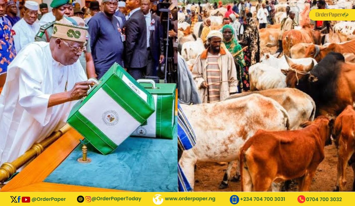 N75bn for new livestock ministry in N6trn budget increment