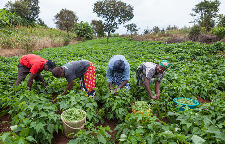 10TH NASS REPORT CARD: 35 agriculture bills sponsored in senate